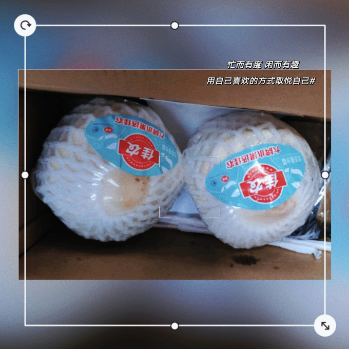 佳农其他水果