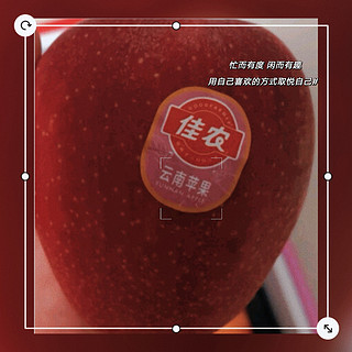 佳农 云南昭通 红玫瑰苹果