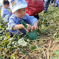 第一次幼儿园秋游上午篇之挖红薯