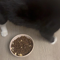 出现了，第一款我家猫不爱吃的猫粮…