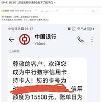 双11来袭，查询30次秒批，这波水到底有多大？