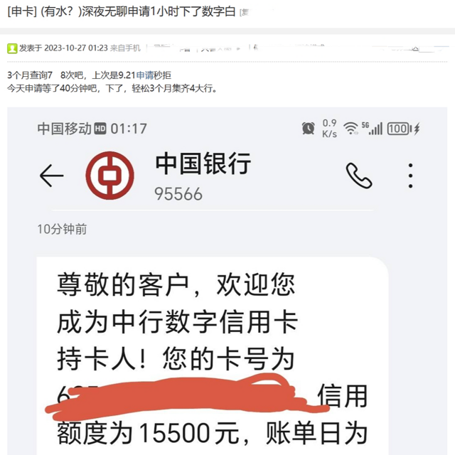 双11来袭，查询30次秒批，这波水到底有多大？