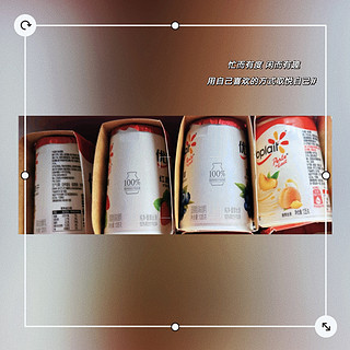 优诺（Yoplait）优丝黄桃果粒酸奶