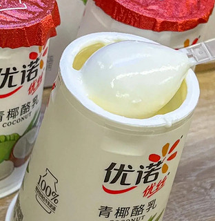 值得一尝的青椰酪乳酸奶