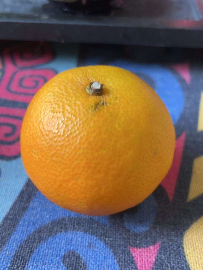 新鲜水果