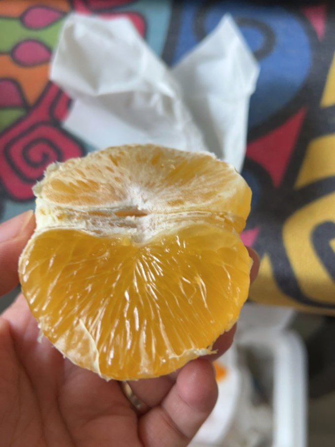 新鲜水果