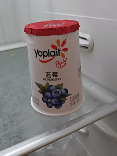 低温酸牛奶，享受优丝蓝莓果粒酸奶风味！