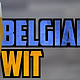 “绵密的浓厚麦香，迸发的鲜美果味”——II:2:(10) WITBIER 比利时白啤，双十一入手链接大放送！