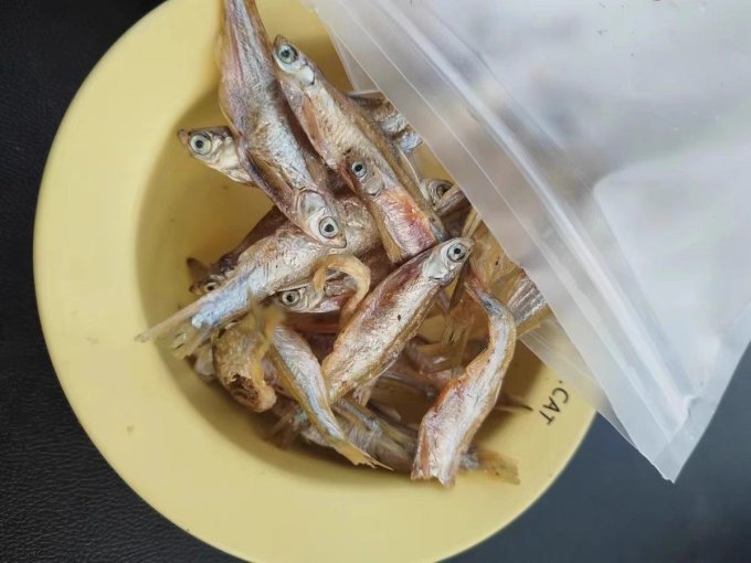 多可特猫犬通用零食