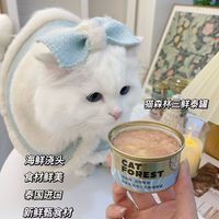 大块鱼肉，哪个小猫咪能抵住这个诱惑！