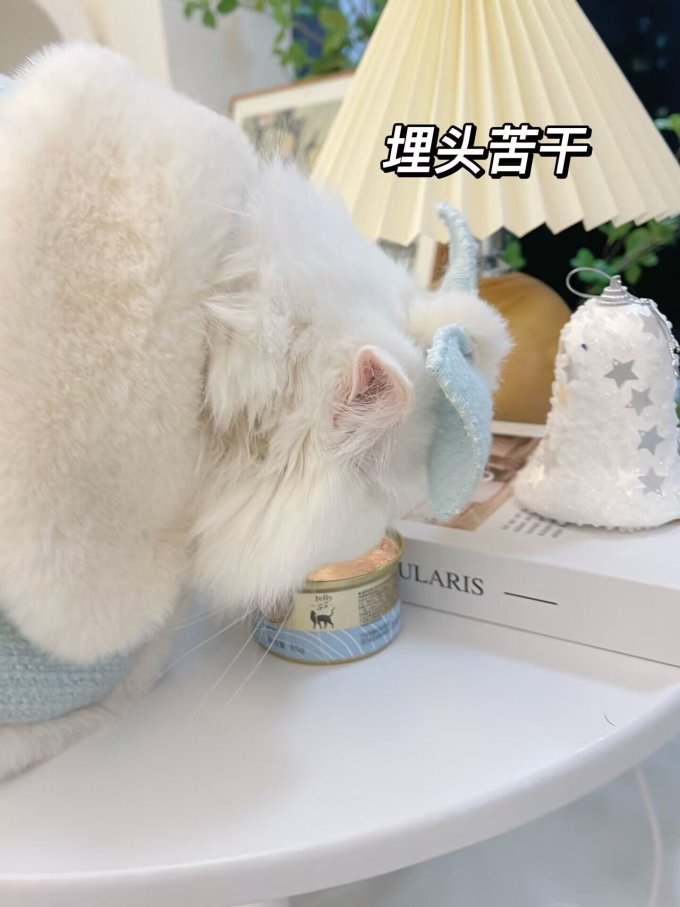 猫森林猫零食
