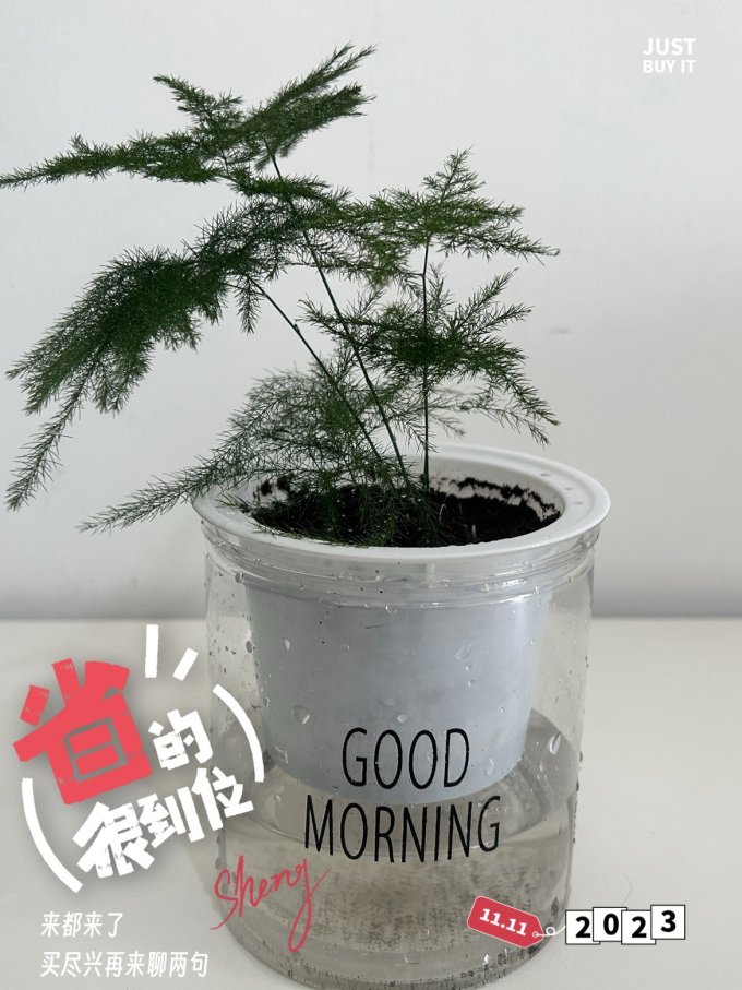云寒鲜花绿植