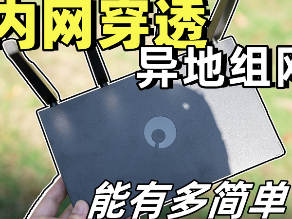 无公网IP下，小白低成本内网穿透，异地组网解决方案。