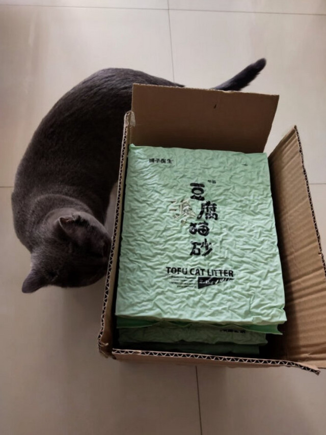 分享几款好用的猫砂。