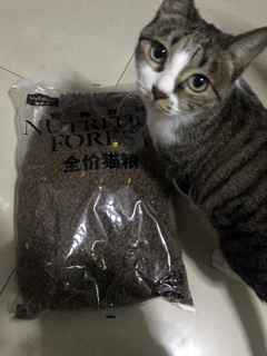 继续囤猫粮了