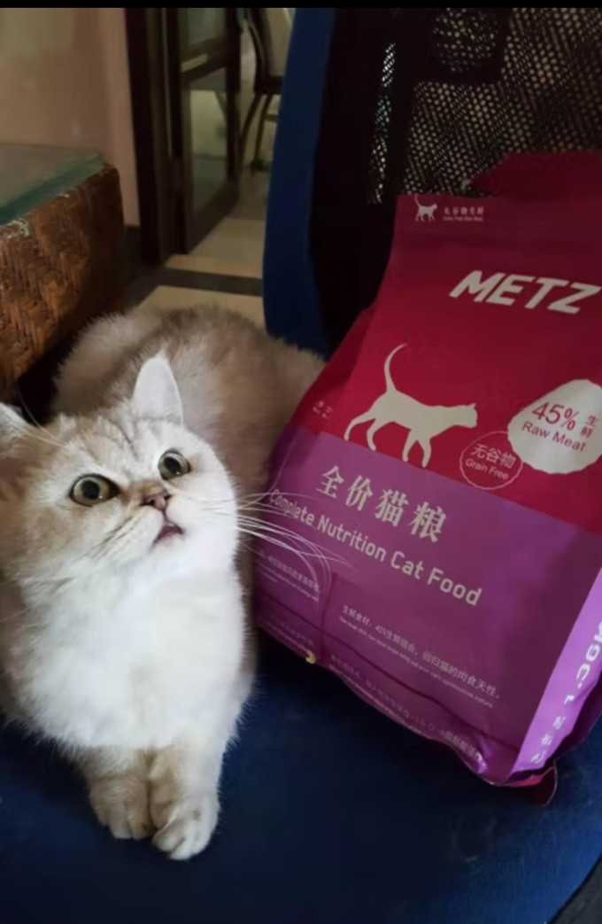猫咪干粮