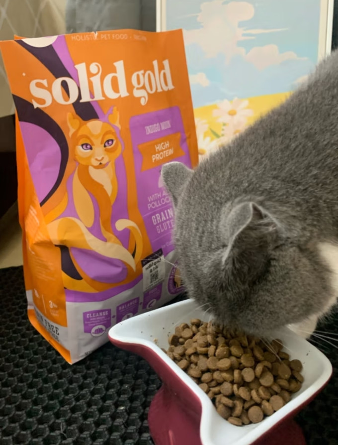 猫咪干粮