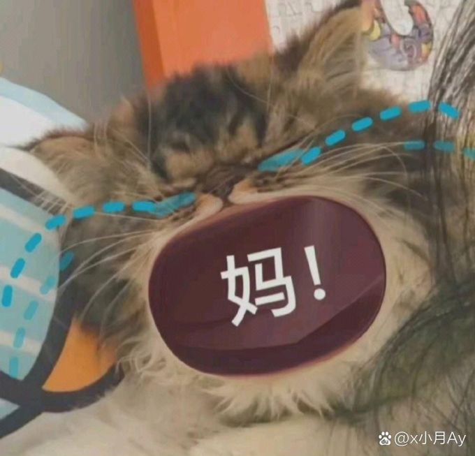 男外套