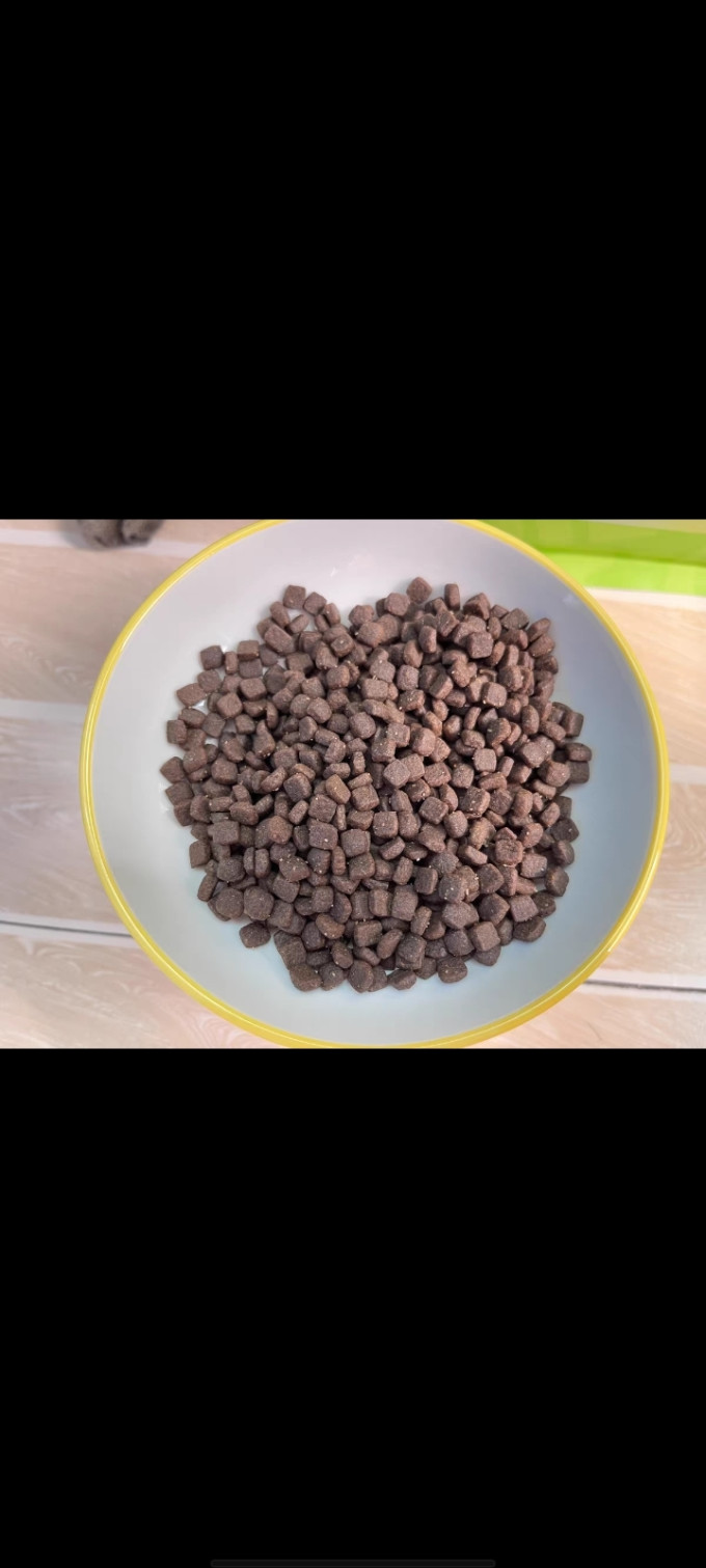 比乐猫粮