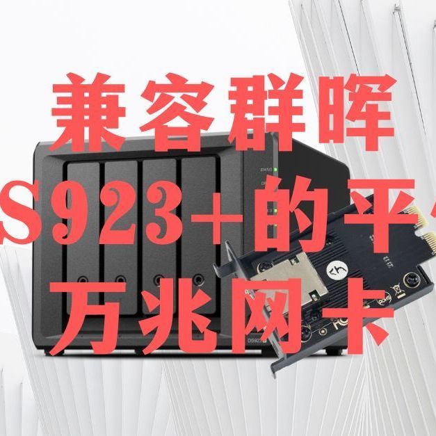 兼容群晖DS923+的万兆网卡，仅需三百多元