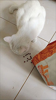 1麦富迪101猫粮1.5kg营养森林全价营养成猫幼猫全猫种通用猫咪主粮