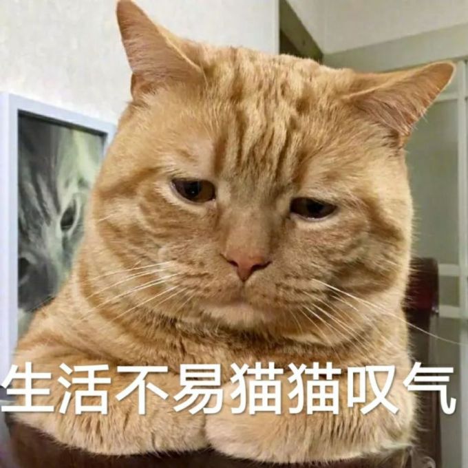 御见鲜花速递