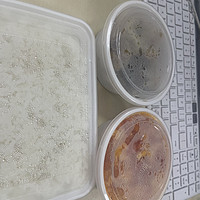 午餐，简简单单两个菜，米的品质还不错