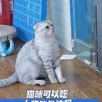 猫咪可以吃人吃的鱼油吗