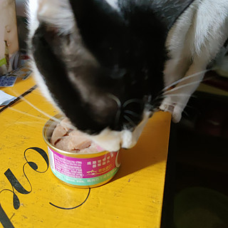 猫咪最爱吃罐头了呢