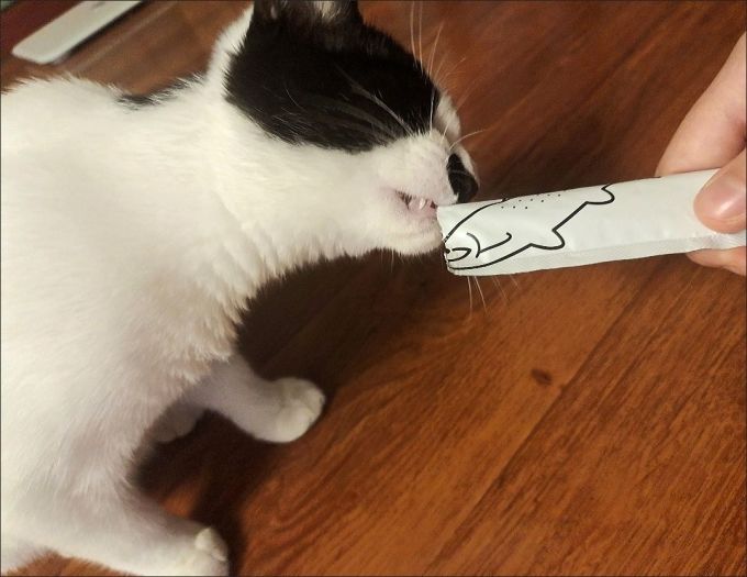 猫零食