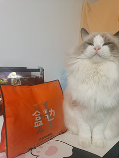 「猫粮试吃不错，快来试试!」