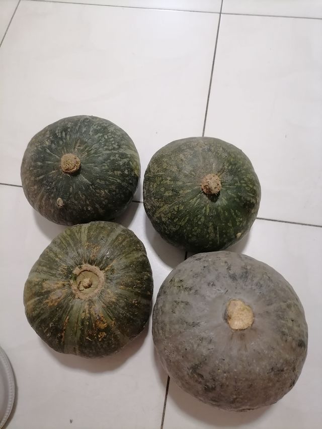 板栗南瓜也是有区别的