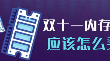 双11内存条购买指南：帮你明确需求，看懂参数，选对产品