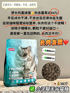 拿走不谢！双11热门新品猫粮这样选不踩雷！