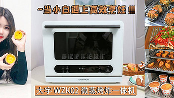 『厨房进化论』 篇六十五：大宇 WZK02 微蒸烤炸一体机：当小白遇上高效烹饪，看如何轻松驾驭琳琅满目的厨房世界！ 