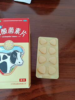 乳酸菌素片，没啥用