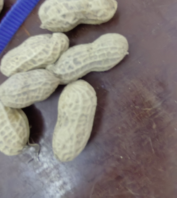八闽风坚果炒货