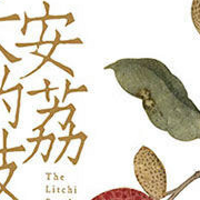 《长安的荔枝》：一部揭示唐朝社会现象的历史佳作