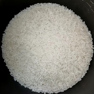 柴火大院 香稻贡米 5kg（ 东北大米 五公斤 香米 粳米）