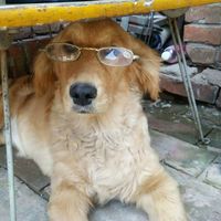 【爆款】冬季必备，防冻液，让你的爱车安心过冬！