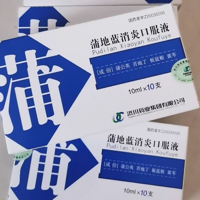 不一样的蒲地蓝：探寻草药的秘密