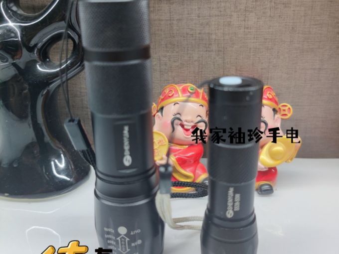 神鱼户外照明