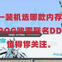 双十一装机选哪款内存？融合大容量、高性能、高颜值于一体的阿斯加特ROG吹雪联名DDR5 (24X2)值得你关注