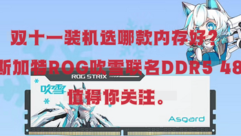 双十一装机选哪款内存？融合大容量、高性能、高颜值于一体的阿斯加特ROG吹雪联名DDR5 (24X2)值得你关注