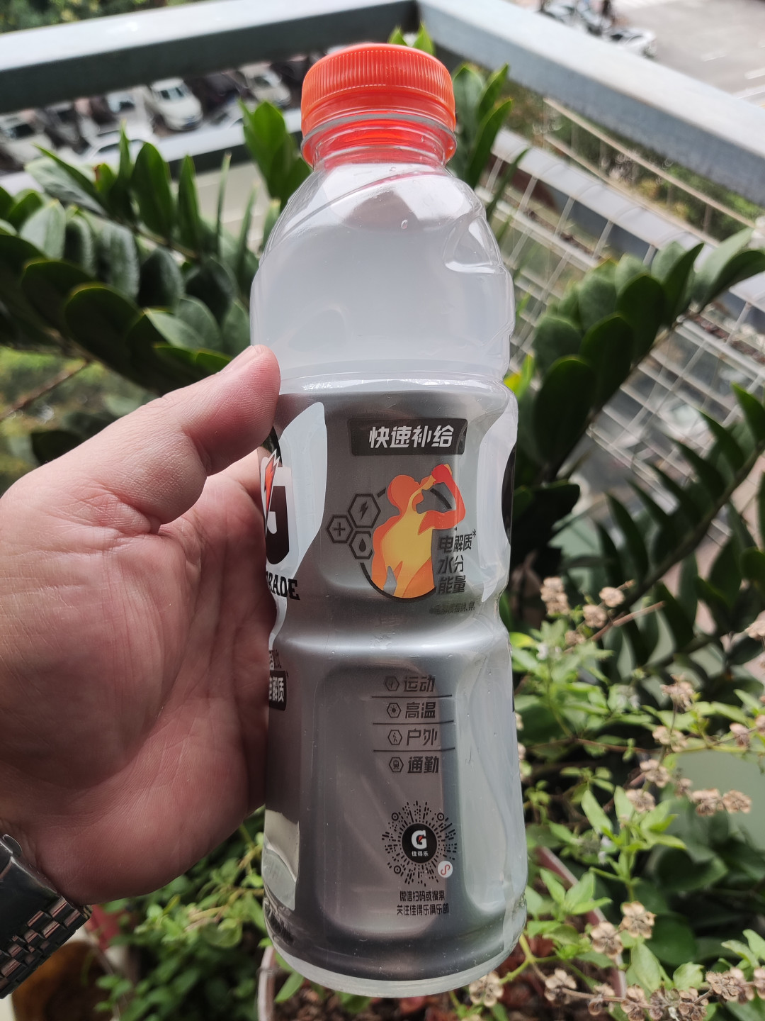 种草笔记之佳得乐西柚味电解质运动饮料