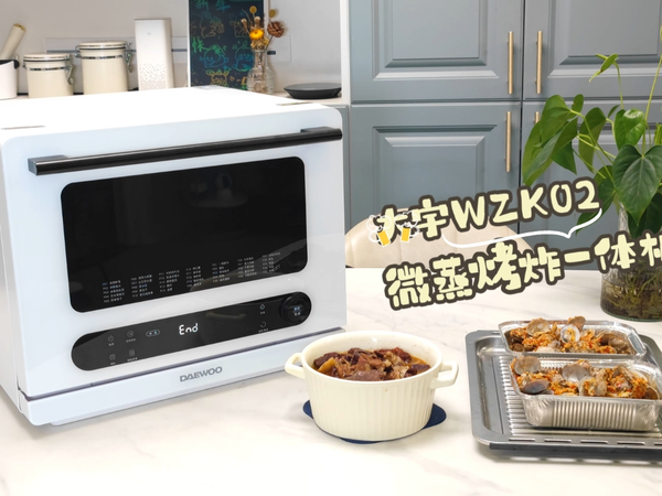 大宇WZK02微蒸烤一体机：美食种草，厨房新宠！
