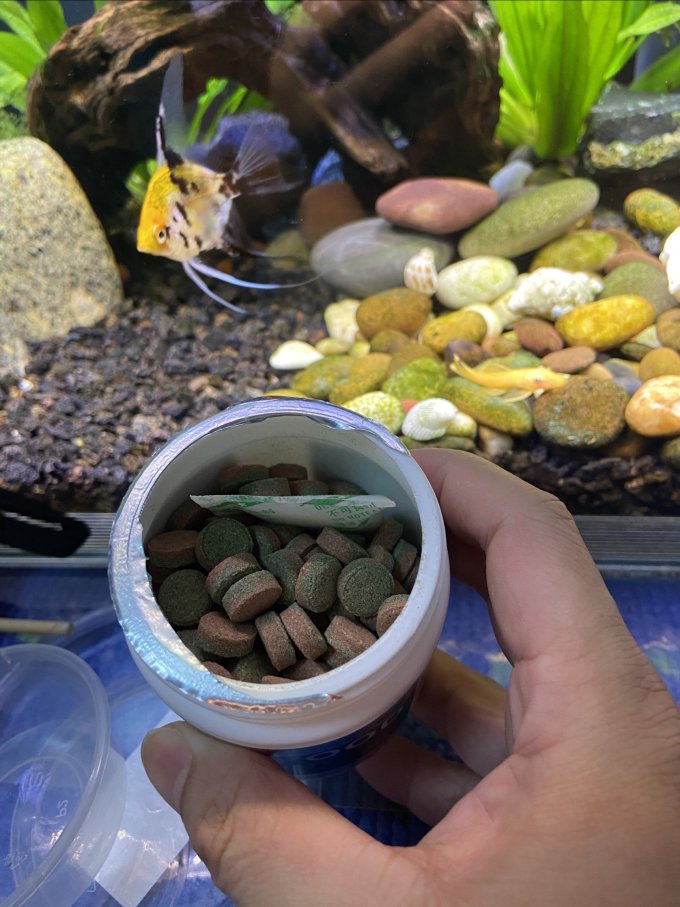 百因美鱼粮