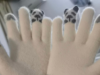 ￼￼FitonTon冬季防寒保暖女生手套