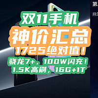 1725绝对神价：骁龙7+，16G+1T，1.5K高刷，100W闪充！【双11神机清单】