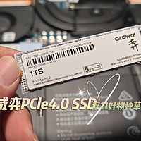 双十一种草：光威弈PCle4.0 SSD